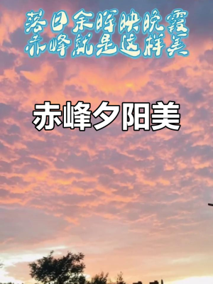 赤峰壹豐代駕電話號(hào)碼多少-第1張圖片