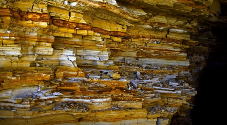 赤峰五洲營業(yè)部電話-第1張圖片