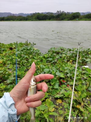 赤峰附近鉤魚地點電話多少號-第1張圖片
