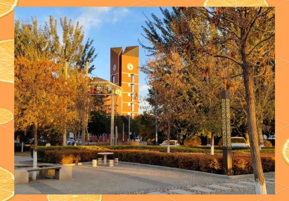 赤峰學(xué)院官網(wǎng)財(cái)務(wù)處電話號(hào)碼-第1張圖片