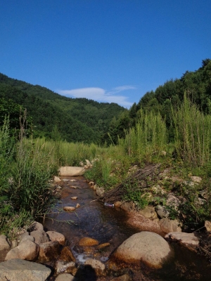 赤峰到安慶溝的拼車電話號碼-第1張圖片