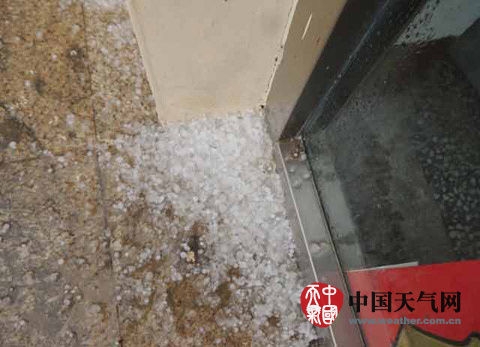 赤峰市天山養(yǎng)雞場電話號碼-第1張圖片