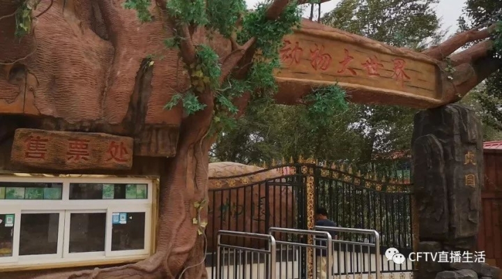 赤峰賣狗幼崽地址電話號碼-第1張圖片