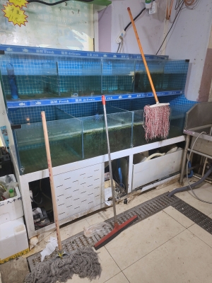 赤峰回收魚缸電話多少號碼-第1張圖片