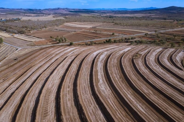 赤峰市翁牛特旗車膜廠電話號碼-第1張圖片