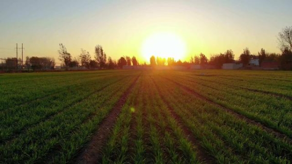 赤峰麥子工作室電話號碼查詢-第1張圖片