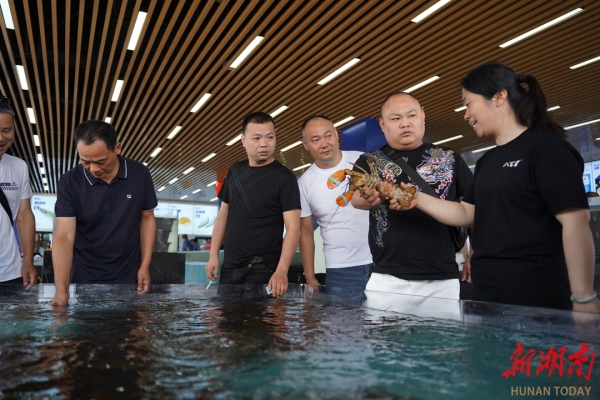 赤峰市海鮮客戶電話號碼查詢-第1張圖片