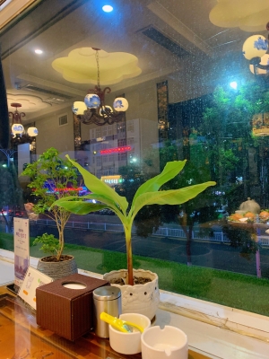 赤峰魚鱉飯店電話多少號碼-第1張圖片