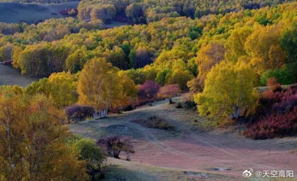 赤峰美臣洗化店地址電話號碼-第1張圖片
