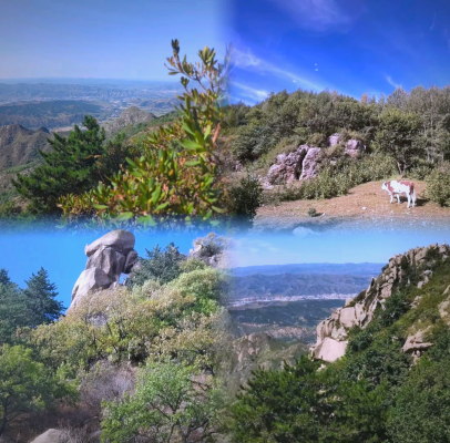 赤峰錦山大席飯店電話號碼多少-第1張圖片