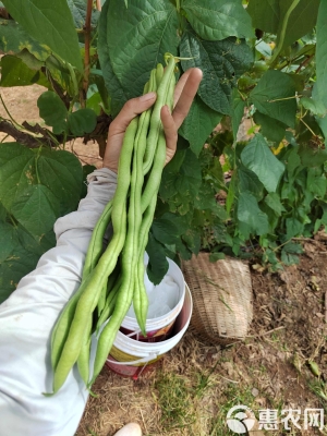 赤峰永業(yè)豆干廠地址電話號(hào)碼-第1張圖片