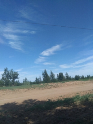 赤峰樹林服裝廠電話號(hào)碼多少-第1張圖片