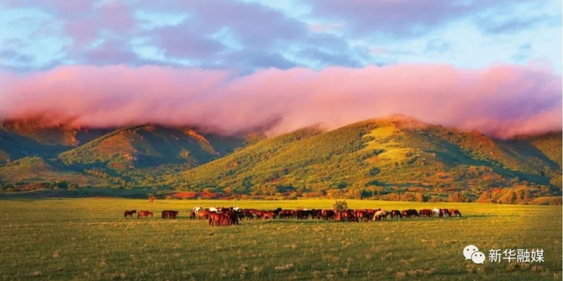赤峰千合美容院地址電話號碼-第1張圖片