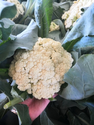 赤峰超姐生活超市地址電話號碼-第1張圖片