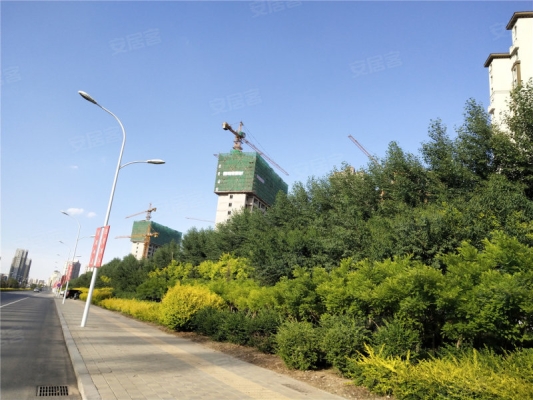 赤峰百合采摘園地址電話號(hào)碼-第1張圖片