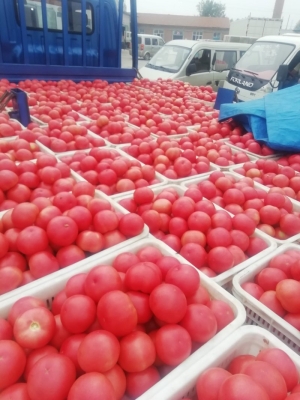 赤峰柿子火鍋店電話號(hào)碼多少-第1張圖片