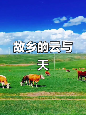 赤峰天誠商廈電話多少啊-第1張圖片