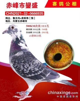 赤峰拍賣(mài)現(xiàn)場(chǎng)官網(wǎng)電話是多少號(hào)-第1張圖片