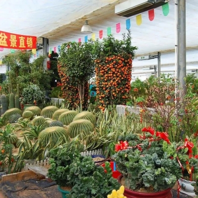 赤峰天豐商務大廈物業(yè)電話號碼-第1張圖片