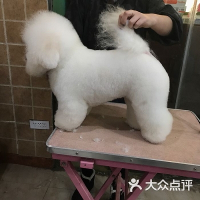 赤峰芭比寵物店電話多少號(hào)-第1張圖片