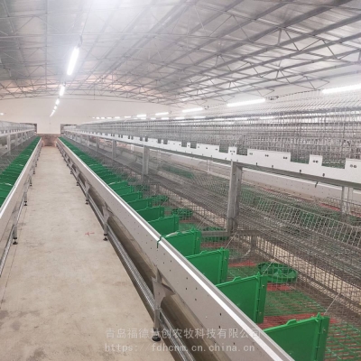 赤峰養(yǎng)殖兔基地電話號碼查詢-第1張圖片