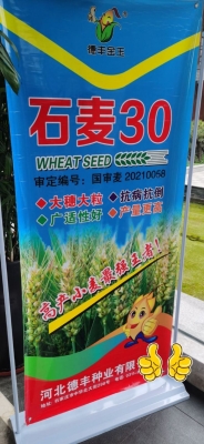 赤峰市石麥商貿(mào)公司電話號(hào)碼-第1張圖片