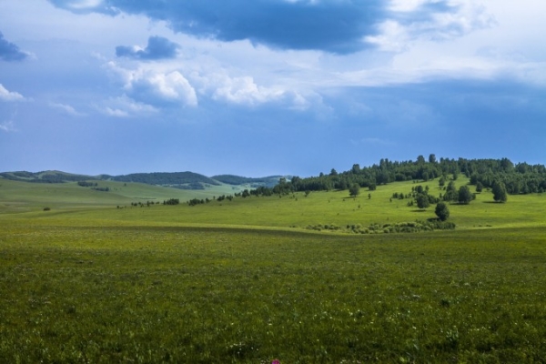 赤峰奔騰油漆廠電話號碼查詢-第1張圖片