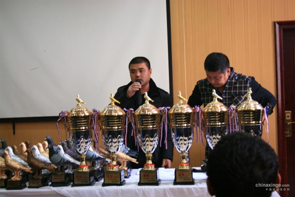 赤峰宇航鴿舍電話號碼查詢是多少-第1張圖片