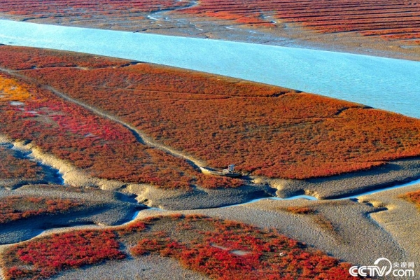 赤峰海瀾香會所電話號碼查詢-第1張圖片