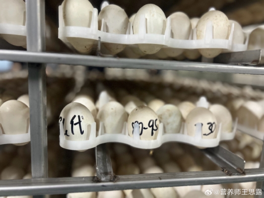 赤峰新城團(tuán)購(gòu)熟食店電話號(hào)碼-第1張圖片