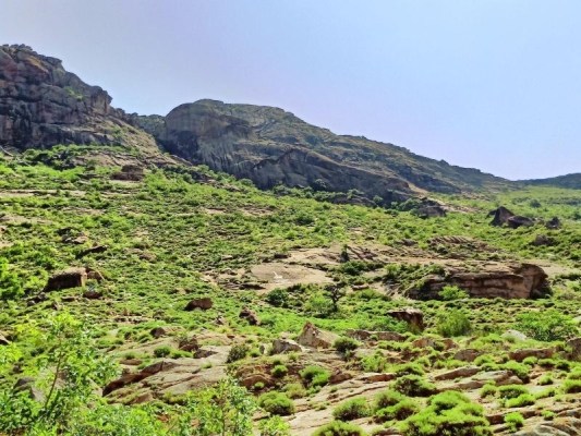 赤峰北洼子場站電話號碼查詢-第1張圖片