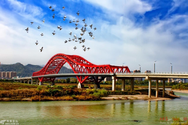 赤峰市哪有網(wǎng)紅橋啊電話號(hào)-第1張圖片