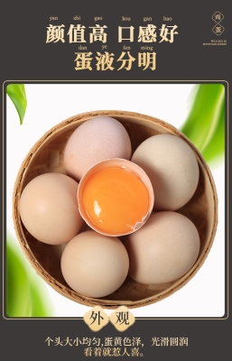 赤峰雞蛋禮盒批發(fā)市場(chǎng)電話號(hào)碼-第1張圖片