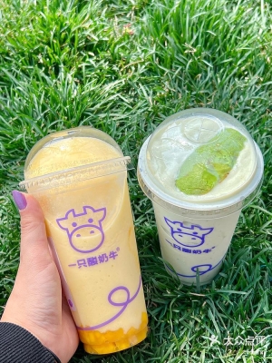 赤峰市酸奶團購地址電話號碼-第1張圖片