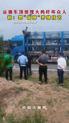 赤峰農(nóng)村收豬廠電話號碼多少-第1張圖片