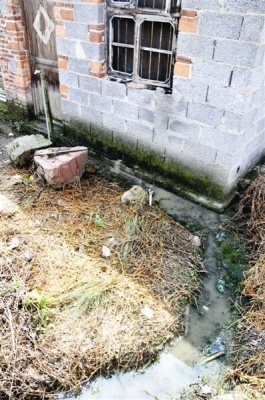 赤峰雙山子養(yǎng)豬場電話號碼-第1張圖片