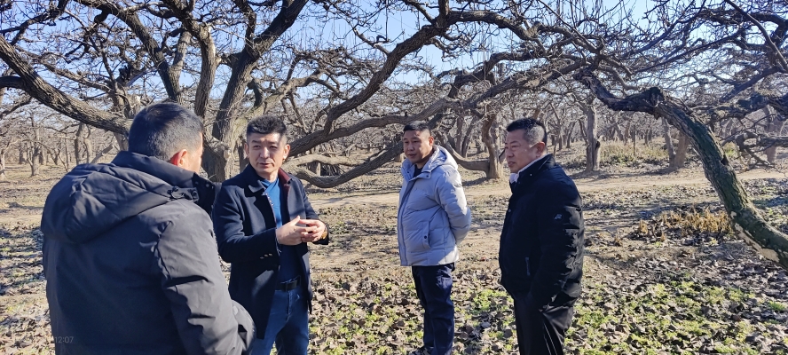 赤峰平莊大花轎電話號(hào)碼查詢-第1張圖片