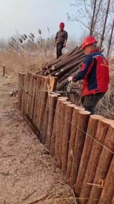 赤峰木樁加工廠家電話號碼-第1張圖片