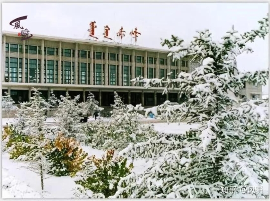 赤峰市骨膠廠電話號碼查詢-第1張圖片