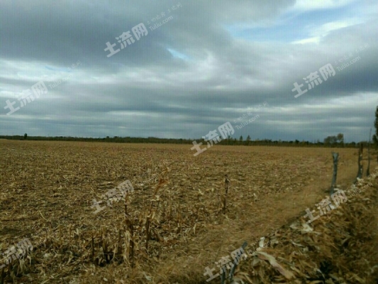 赤峰蘿卜分瓣機(jī)廠家電話號(hào)碼-第1張圖片