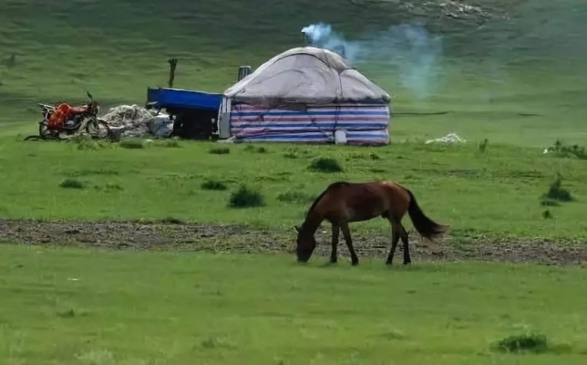 赤峰擇羽商貿(mào)公司電話號(hào)碼查詢-第1張圖片