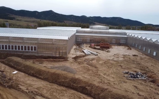 赤峰市租賃大棚電話多少號(hào)-第1張圖片