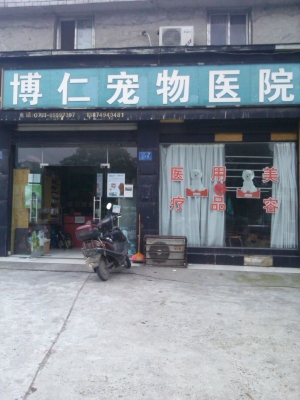 赤峰名貓名犬寵物店電話號(hào)碼-第1張圖片