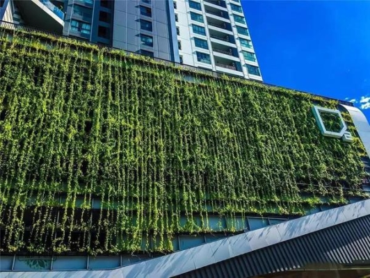 赤峰植物墻廠家電話號(hào)碼查詢-第1張圖片