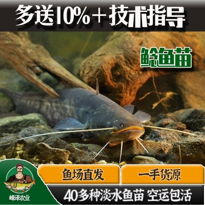 赤峰市水產(chǎn)送貨上門電話號碼-第1張圖片