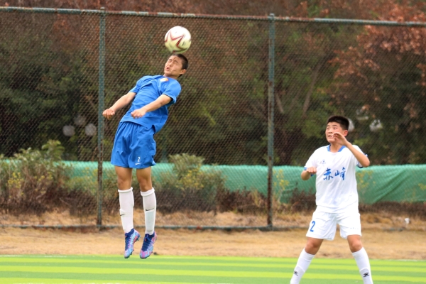 赤峰寨橋中學(xué)官網(wǎng)電話號碼是多少-第1張圖片