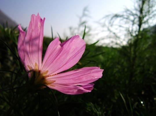 赤峰佳能專賣店電話號碼查詢-第1張圖片