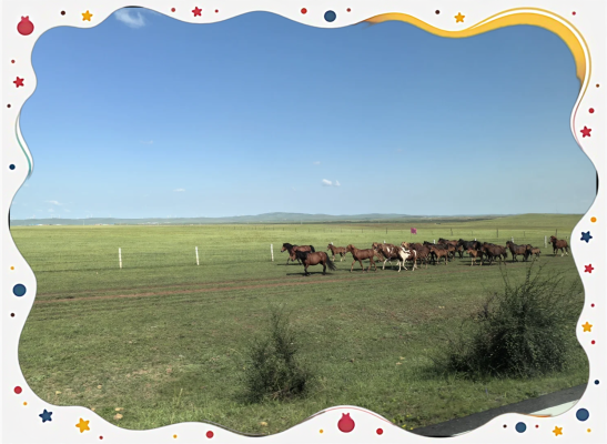 赤峰純泥紅磚廠電話號(hào)碼查詢-第1張圖片