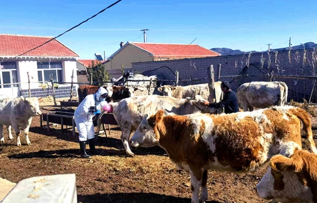 赤峰林西縣家政服務(wù)電話號碼-第1張圖片