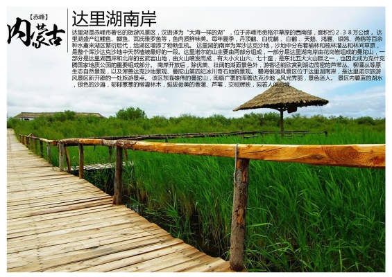 赤峰沙灘排球培訓(xùn)班電話號(hào)碼-第1張圖片